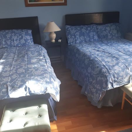 ダン・レアリー The Dell Dublin Bed & Breakfast エクステリア 写真