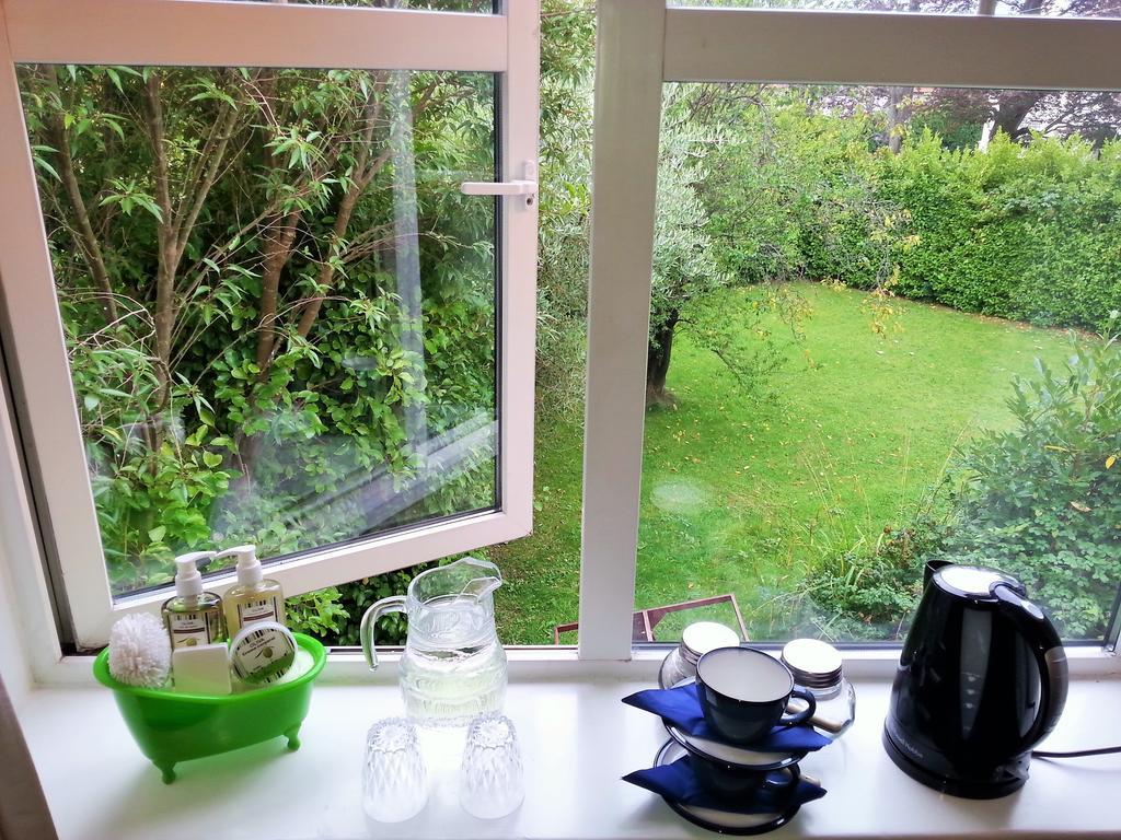 ダン・レアリー The Dell Dublin Bed & Breakfast 部屋 写真