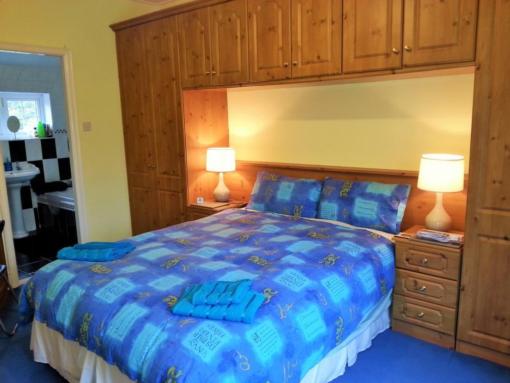 ダン・レアリー The Dell Dublin Bed & Breakfast 部屋 写真