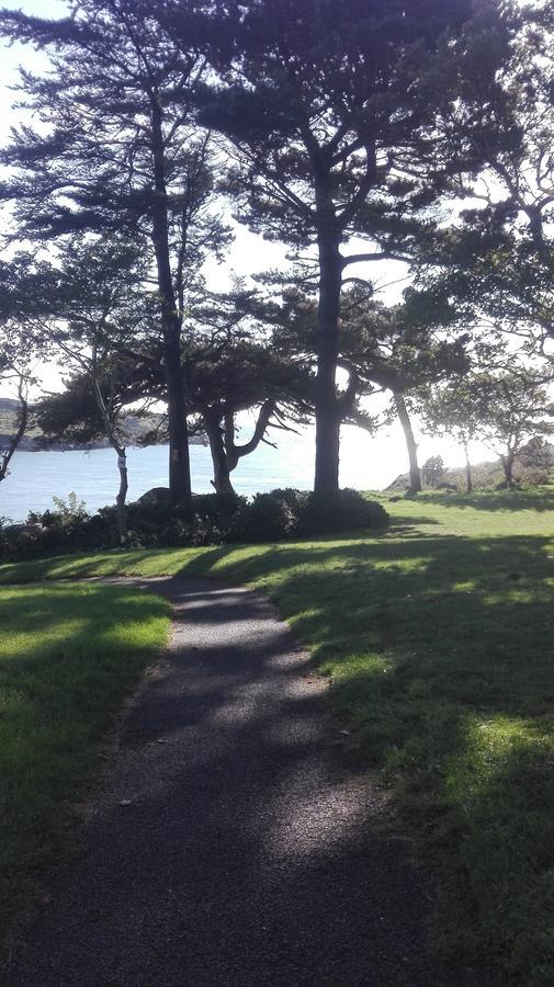 ダン・レアリー The Dell Dublin Bed & Breakfast エクステリア 写真