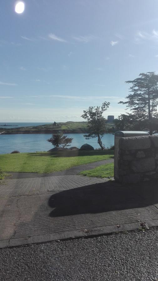 ダン・レアリー The Dell Dublin Bed & Breakfast エクステリア 写真