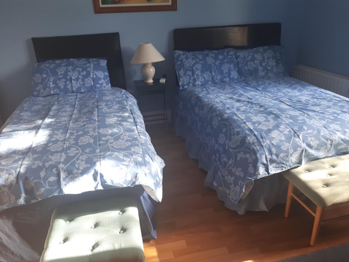 ダン・レアリー The Dell Dublin Bed & Breakfast エクステリア 写真